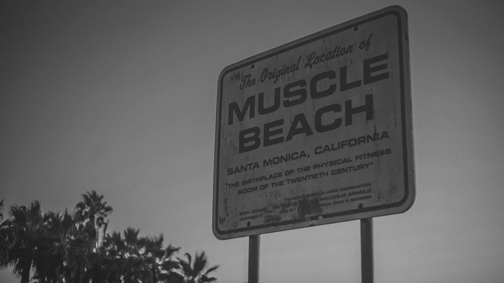 Fitnessstudio in Koblenz Lifthouse Fitness